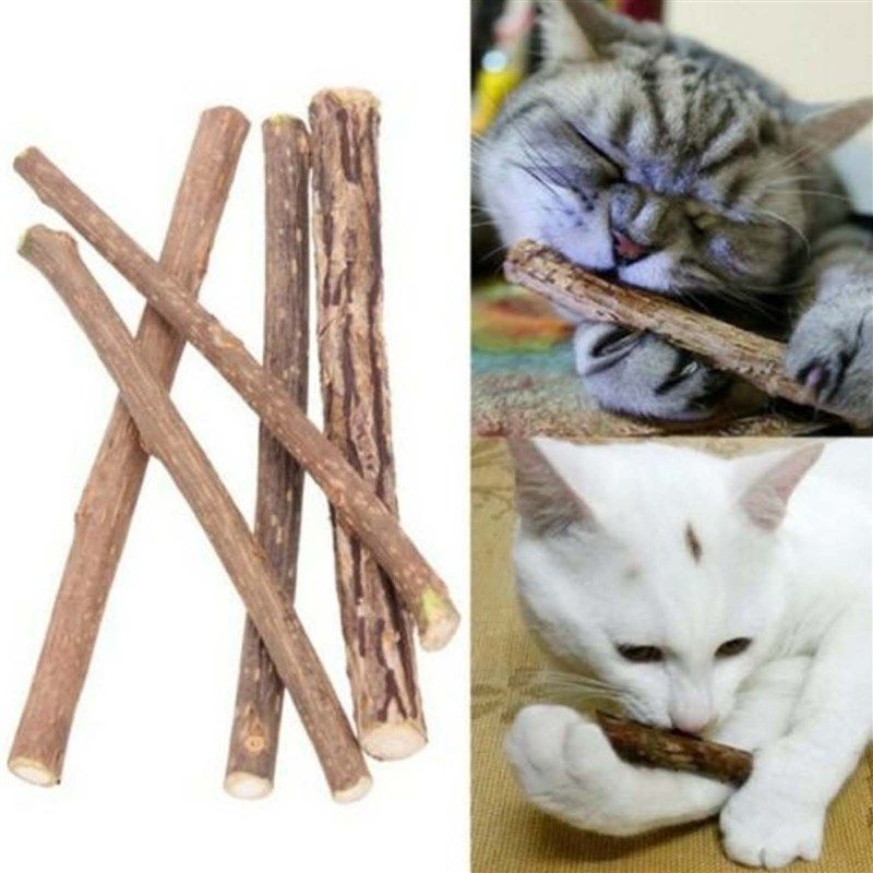 15pcs Natural Catnip Stick Cat Cleaning Teeth Molar