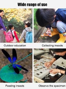 Plastic Transparent Insect Catcher Bug Viewer Observation