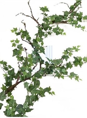 NuoNuoWell 200cm/6.6FT Artificial Ivy Vine Green Rattan