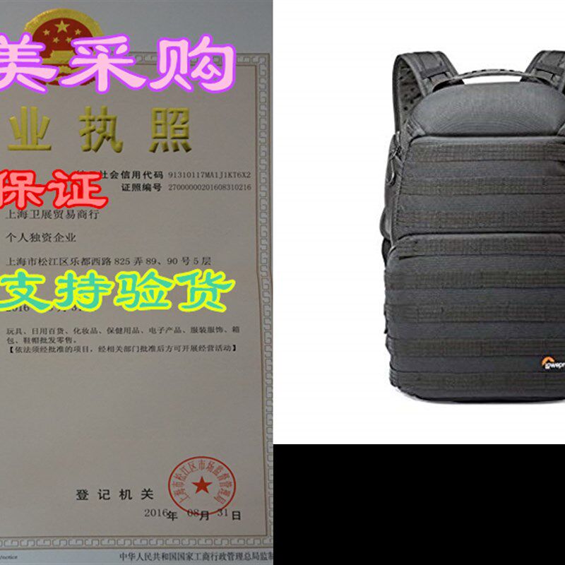 Lowepro ProTactic 450 AW Camera Backpack - Professional Prot