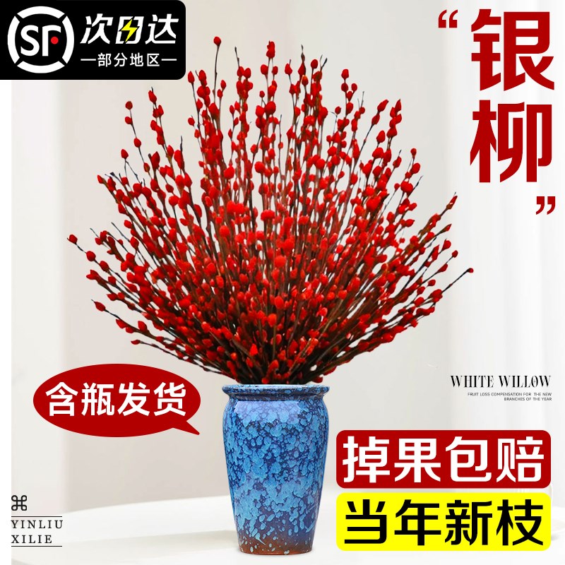 银柳真花鲜枝客厅摆件红色干花水培盆栽室内抱抱福桶喜庆年宵花卉