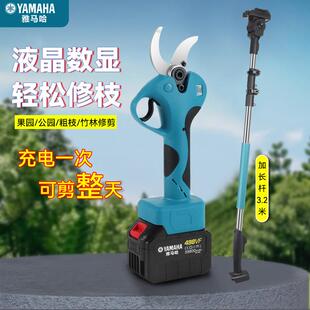 进口电动修枝剪果树粗枝剪刀充电式加长杆强力无线锂电园艺树枝剪