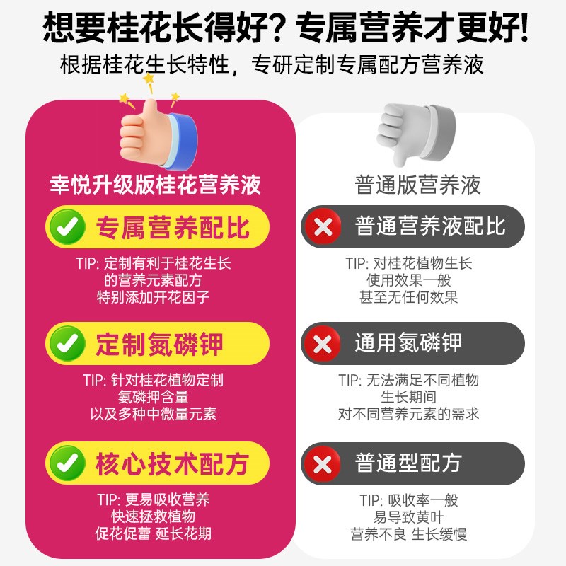 桂花树专用营养液促花爆花肥盆栽桂花树肥料专用肥黄叶干尖枯叶病