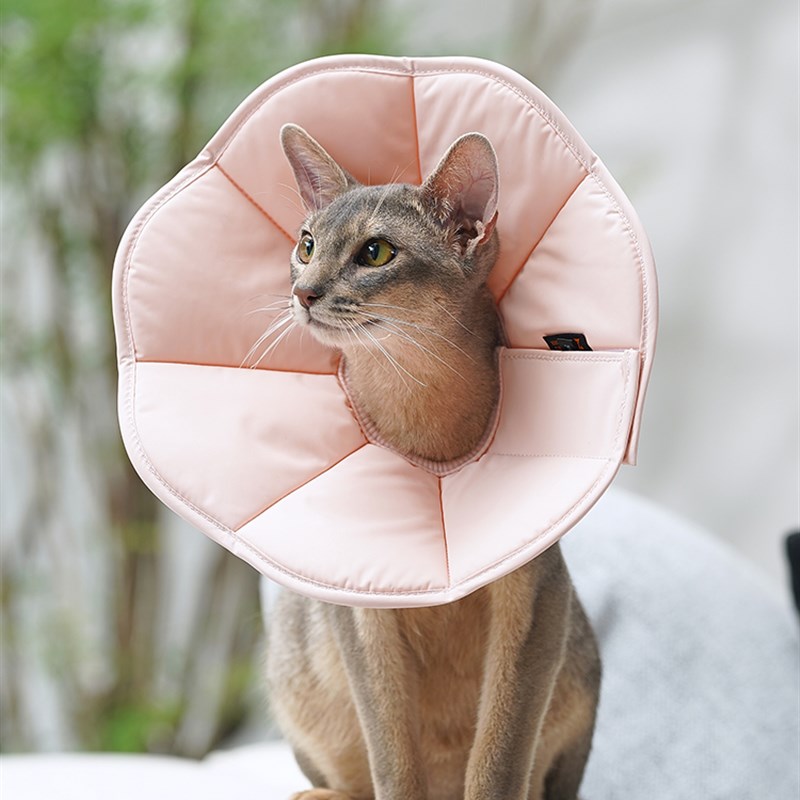 ZOOLAND宠物伊丽莎白圈猫咪狗狗绝育防舔咬项圈中小幼型犬软头套