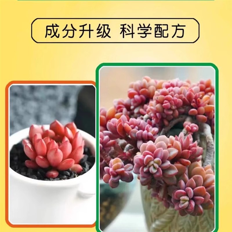 优芽素多肉专用叶插促芽爆芽催芽家用养花肥料植物营养液厂家