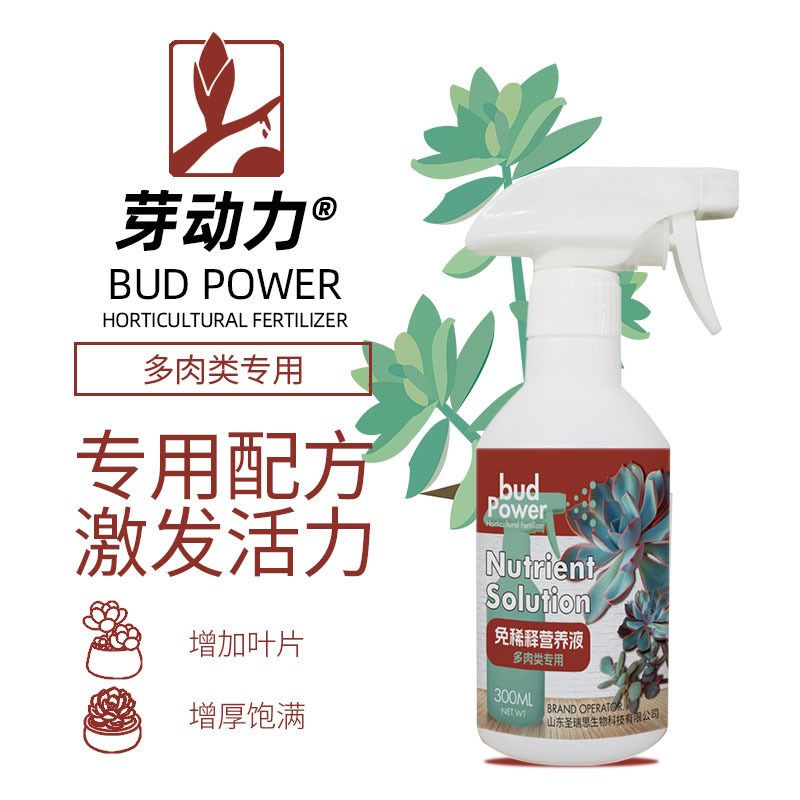 芽动力多肉类专用免稀释营养液家庭阳台多肉盆栽促生长促芽通用