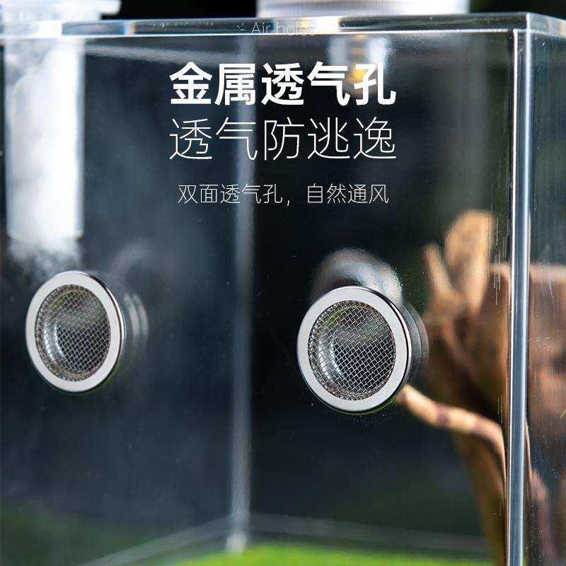 鸣虫生态盒竹蛉螳螂罐螽斯饲养盒跳蛛压克力饲养箱高清小型爬虫盒