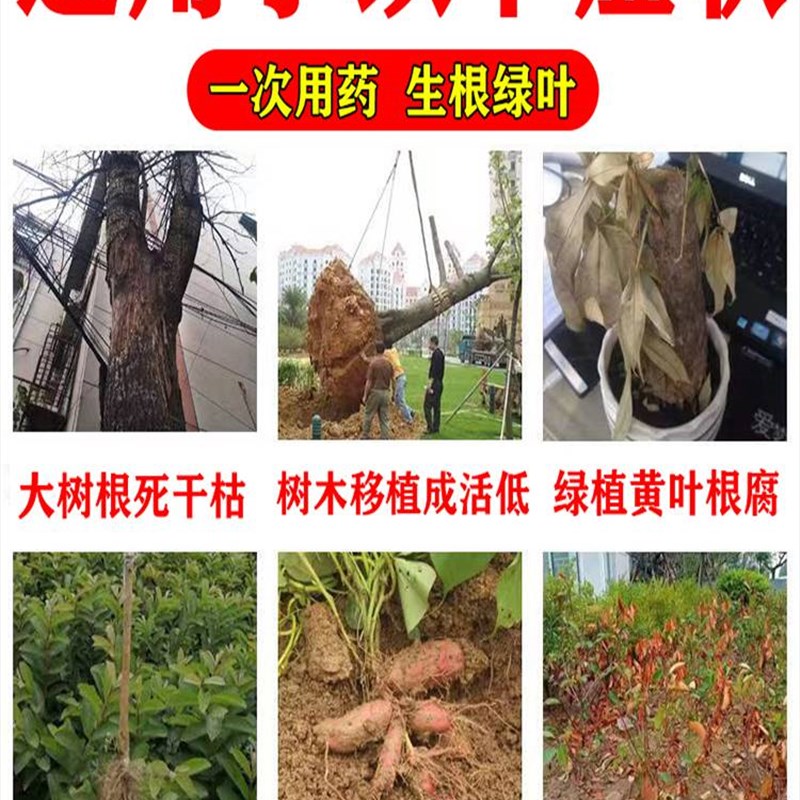 枯树复活再生营养液提高移栽成活改善树木充分活大树专用复活灵剂