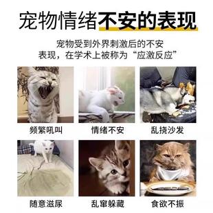 狗狗麻醉镇定剂快速睡眠药专治狗狗乱叫宠物猫咪安定液镇静药喷雾