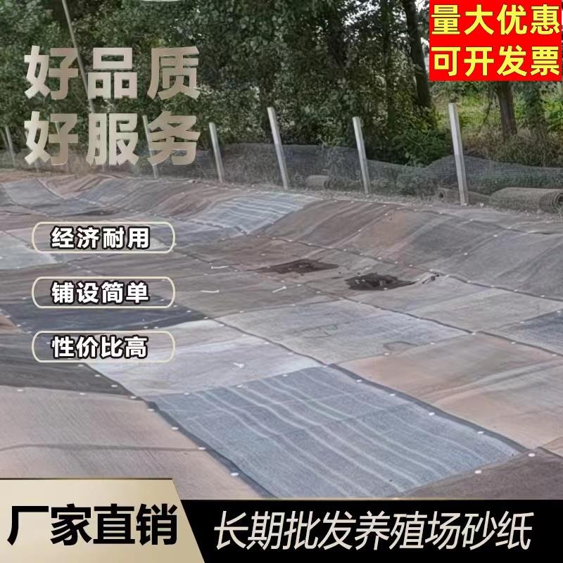 硬化铺地砂代替地面砂带斜坡耐晒砂布耐用护坡屋顶鱼池垫子路面场