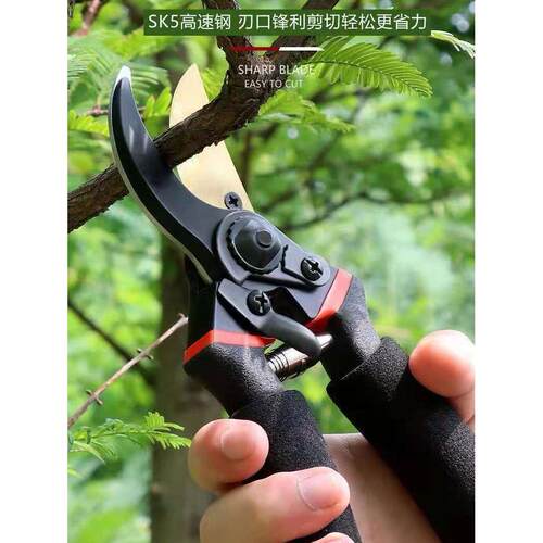 佰卓精工园艺剪刀剪树枝专用剪刀修枝剪园林果树修花家用粗枝剪子