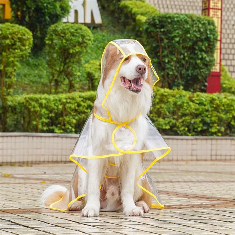 边牧犬雨衣透明衣服好穿防雨衣服哈士奇金毛萨摩耶中型大型犬雨披