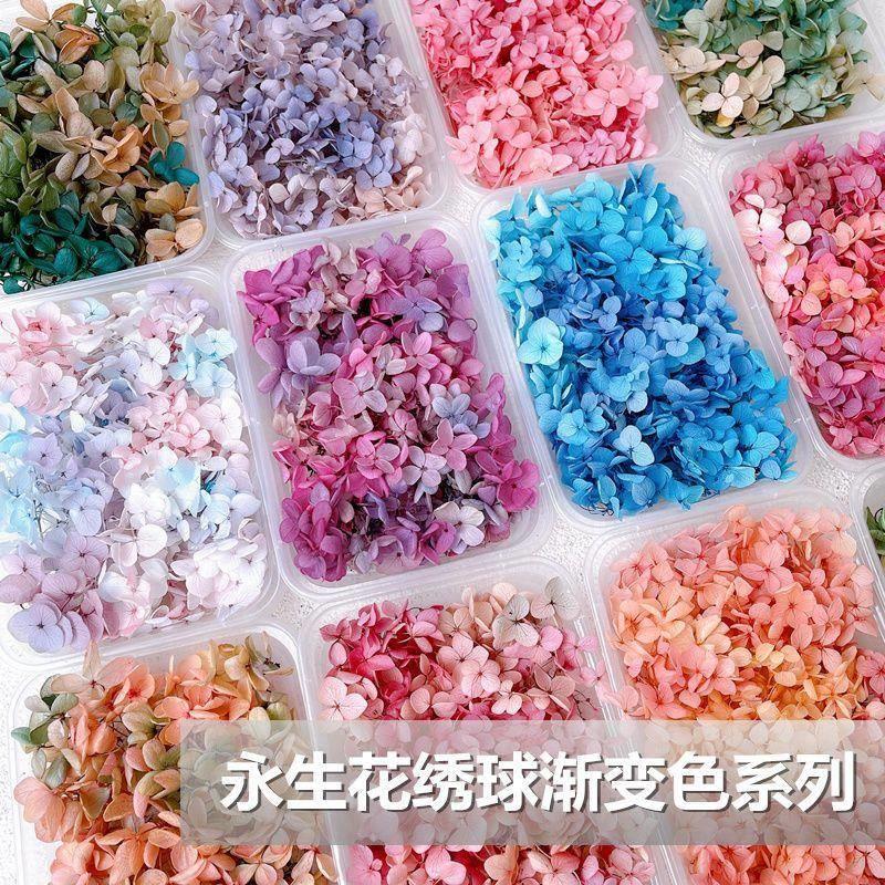 新娘脸上立体装饰妆容贴花干花贴脸花瓣妆化妆脸部贴纸脸贴舞台