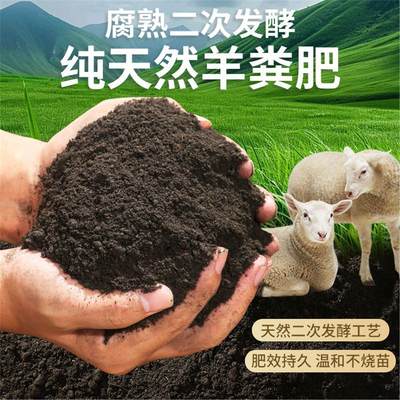 发酵纯羊粪有机肥料种菜家