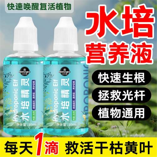 水培植物营养液室内盆栽通
