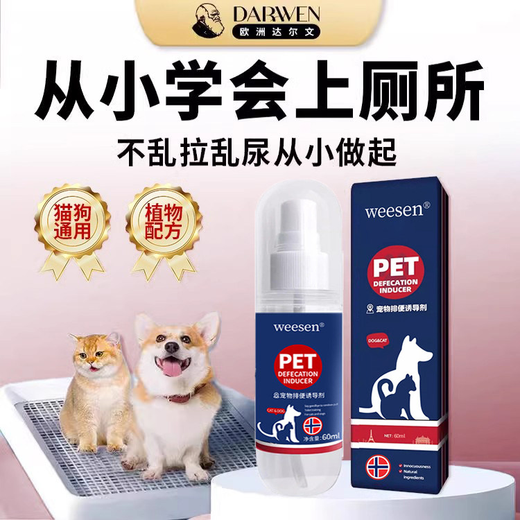 定点上厕所神器狗专研猫排