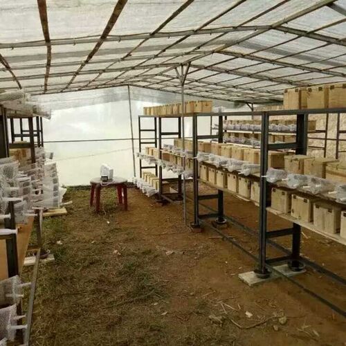 极速塑料网格板小孔塑料板网隔板置物遮挡水产漏水阳台防盗防逃平