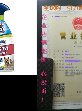 Woolite INSTAclean Pet Stain Remover, 1684a