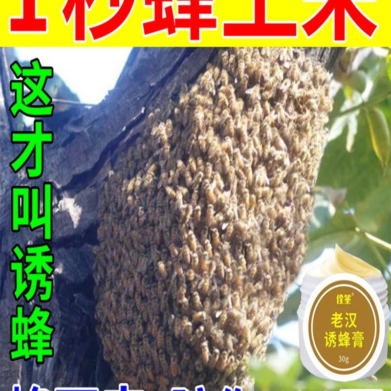 蜂蜡诱蜂用诱蜂膏蜜蜂招蜂水野外中土蜂新手引蜂神器养蜂专用工具