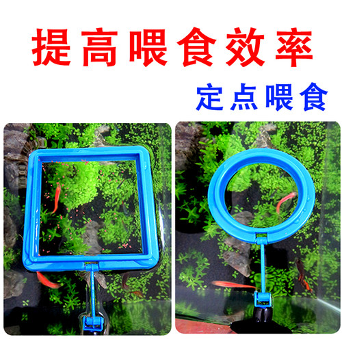 鱼缸喂食圈喂食器投食圈鱼孔雀鱼投喂器鱼儿浮力喂食管小型喂虾器
