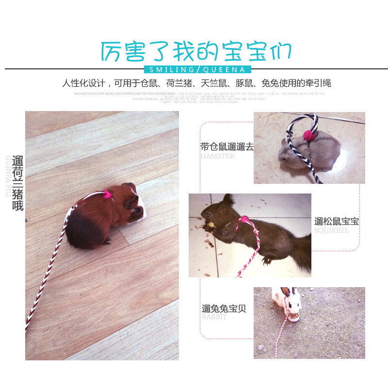 极速兔子牵引绳子仓鼠松鼠龙猫链子用品刺猬金丝熊荷兰猪遛溜兔绳