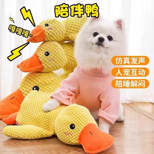狗狗玩具宠物耐咬自嗨解闷发声神器柯基小狗犬毛绒小黄鸭磨牙用品