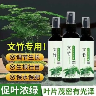 【文竹拍1发3瓶】营养液富贵竹农资专治叶子发干枯免稀释生长肥