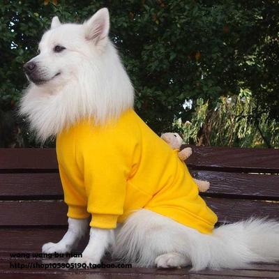 中大型犬狗狗衣服春装狗服饰金毛拉布拉多萨摩秋冬糖果色二脚卫衣