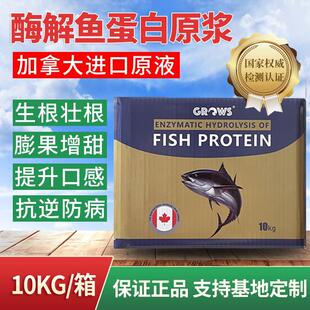 进口鱼蛋白原浆原液水溶肥料叶面有机肥海藻冲施草莓葡萄蓝莓专用