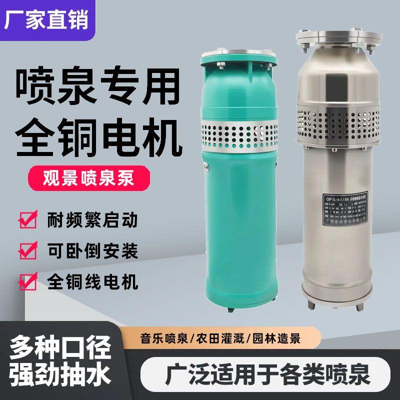 喷泉泵不锈钢QSP不锈钢水池景观上海假山别墅小区喷泉专用潜水泵