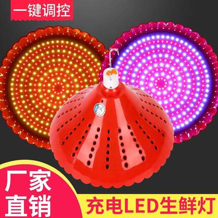 停电神器紧急照明灯led充电灯泡 生鲜灯猪肉灯熟食水果夜市摆地摊