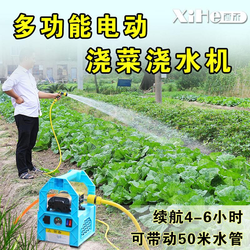 充电式手提水泵农用电动小型浇菜浇水喷雾器灌溉绿化自吸抽水机泵