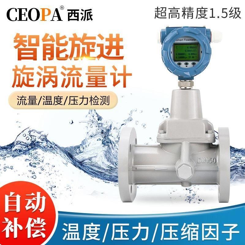 智能旋进旋涡流量计DN100天然气专用DN80LUX高精度涡轮流量计