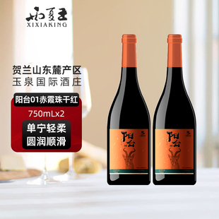 西夏王阳台01赤霞珠干红葡萄酒750ML双支宁夏贺兰山东麓产区