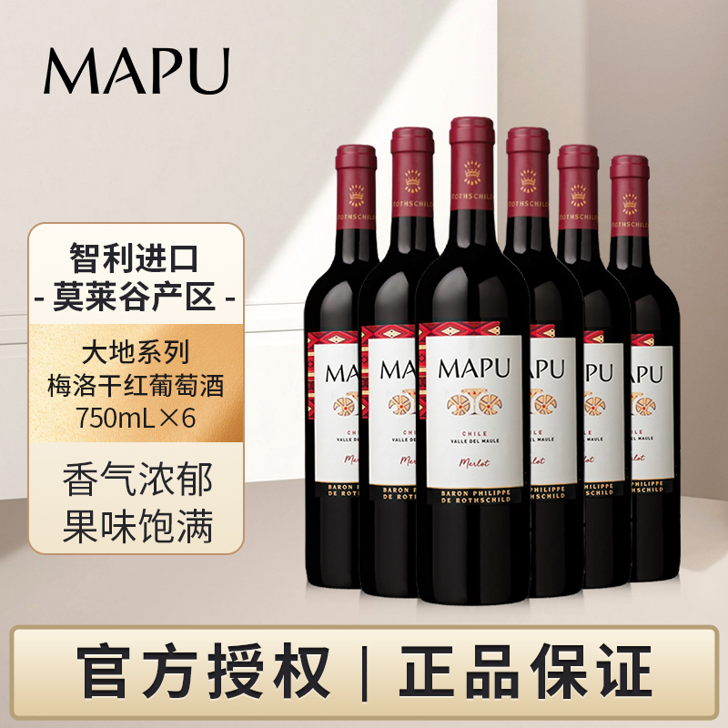 大地MAPU梅洛干红葡萄酒智利原瓶进口红酒750ml六支整箱