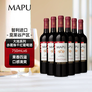 大地MAPU赤霞珠干红葡萄酒智利原瓶进口红酒750ml六支整箱