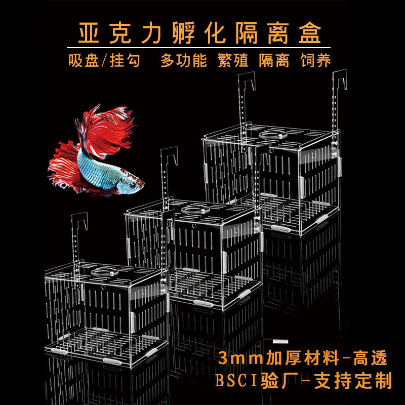 多功能透明鱼缸孵化盒小鱼苗