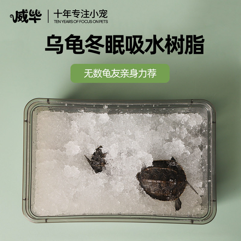 小乌龟专用过冬冬眠用高分子吸水