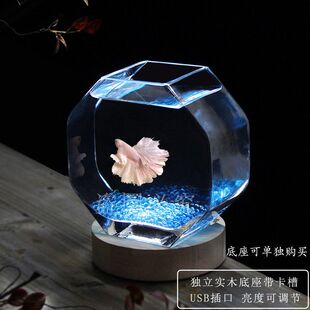 创意鱼缸玻璃高透亮加厚玻璃花瓶水培器皿桌面鱼缸办公小型鱼缸