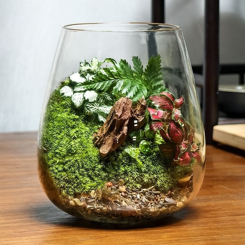 微景观瓶苔藓桌面玻璃景观鱼缸