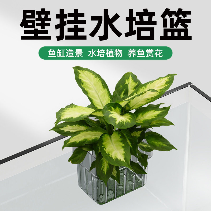 老渔匠鱼缸水培定植篮壁挂式造景