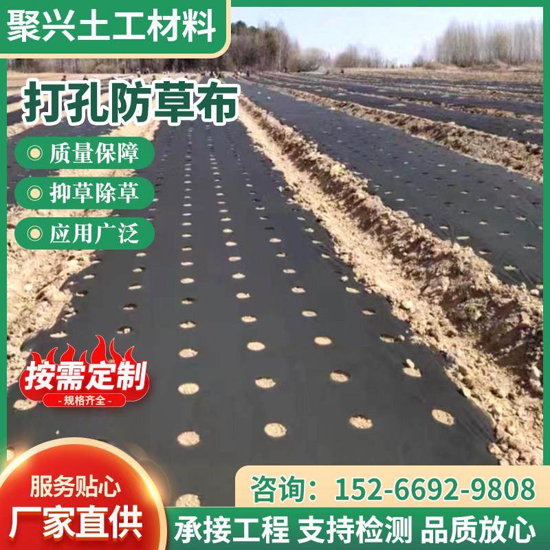 打孔防草布除草布农用打孔盖草抑草透气透水抗老化保湿果树地膜,农机/农具/农膜,农用防草地布/除草布,淘宝优惠券,粉丝福利购,淘宝优惠卷