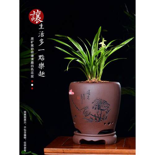 宜兴紫砂兰花花盆陶瓷龙蛋创意兰花盆兰草君子兰兰花专用盆带托盘