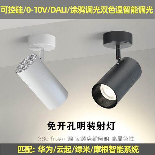 智能调光0-10V明装轨道灯服装店商用半导体控制整流器DALII射灯调