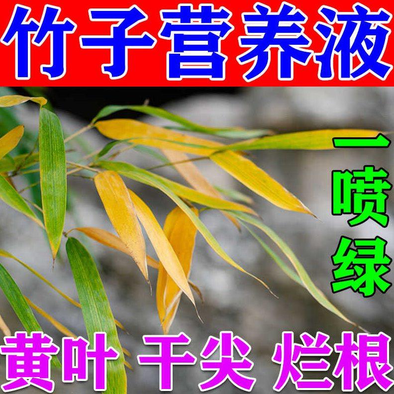 竹子营养液治黄叶干尖内门竹观音罗汉米竹小叶簕竹观赏盆栽专用肥