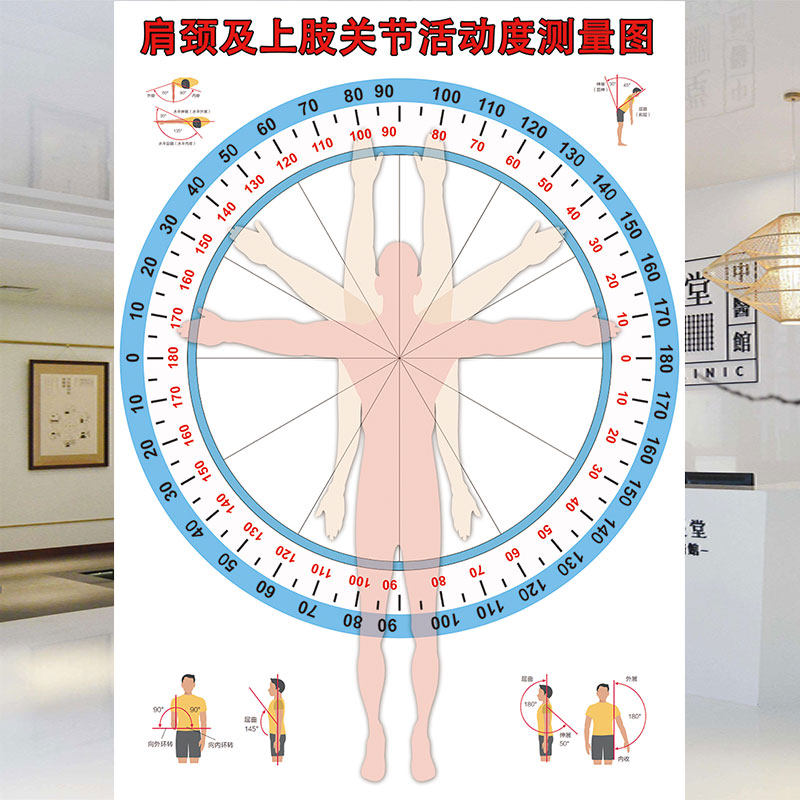 热销颈肩及上肢关节活动度测量图墙贴中医馆诊所医院装饰背景墙纸