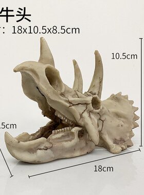 Aquarium decoration饲养箱造景晒台洞穴躲避  犀牛头骨树脂摆件