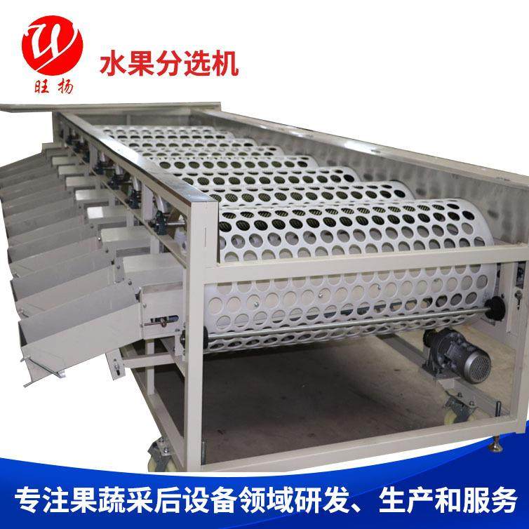 6GF-4水果分选机,清洗/食品/商业设备,其他食品加工设备,淘宝优惠券,粉丝福利购,淘宝优惠卷