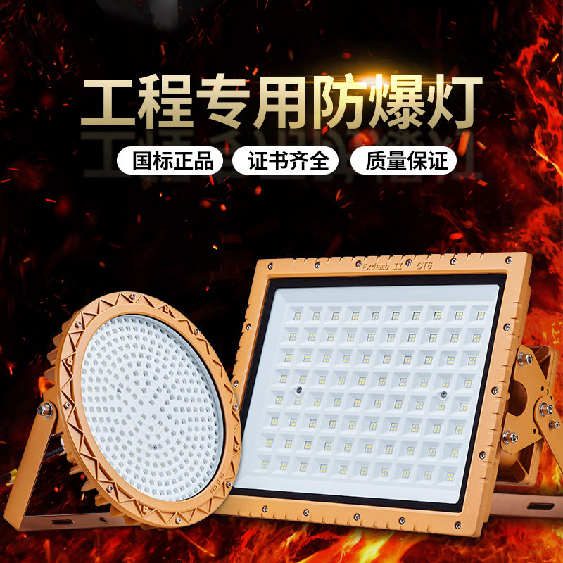 国标LED防爆三防投光灯