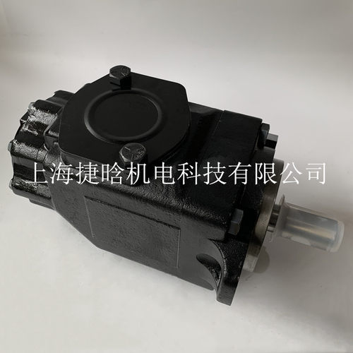 T6DC-038-031-1R00-C100 丹尼逊系列 T6、T7系列 柱销式叶片泵